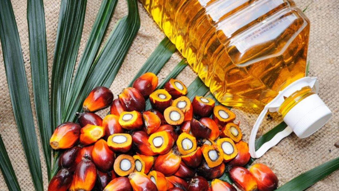 Aceite de palma