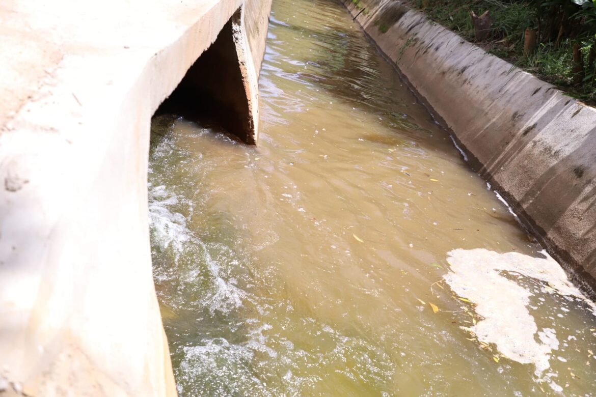 Canal de riego