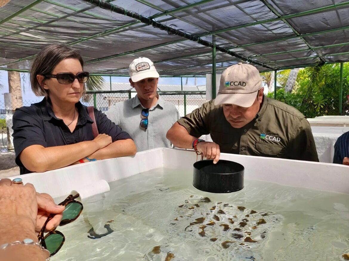 Biodiversidad