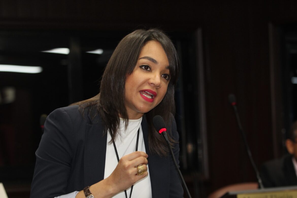 Faride Raful despeja incertidumbre sobre su candidatura