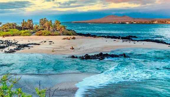 Las Islas Galápagos tienen una gran importancia tanto en términos de biodiversidad como en términos de investigación científica y conservación.