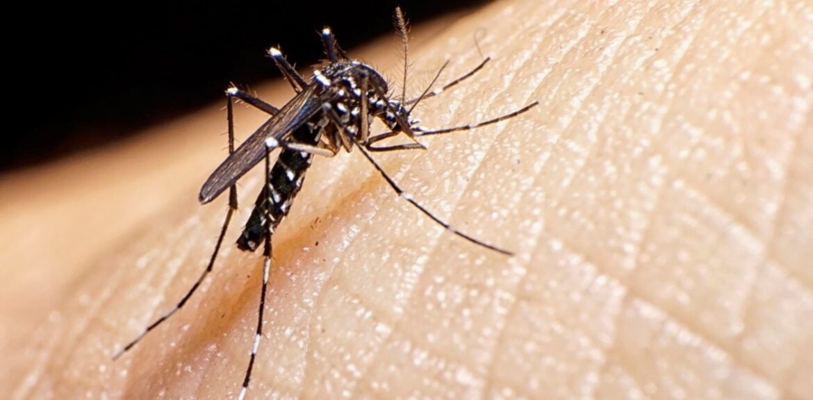 Utiliza inteligencia artificial para generar modelos predictivos de enfermedades infecciosas
