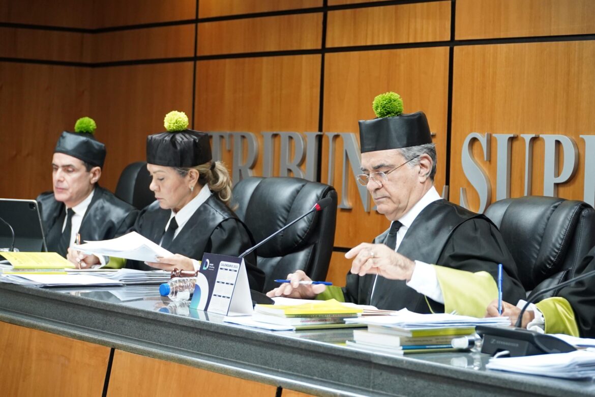TSE recibe primera demanda por elecciones presidenciales y congresuales