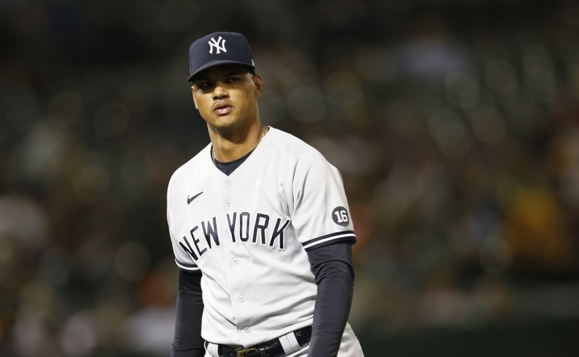 Dominicano Abreu salvó juego 14 en pelota japonesa