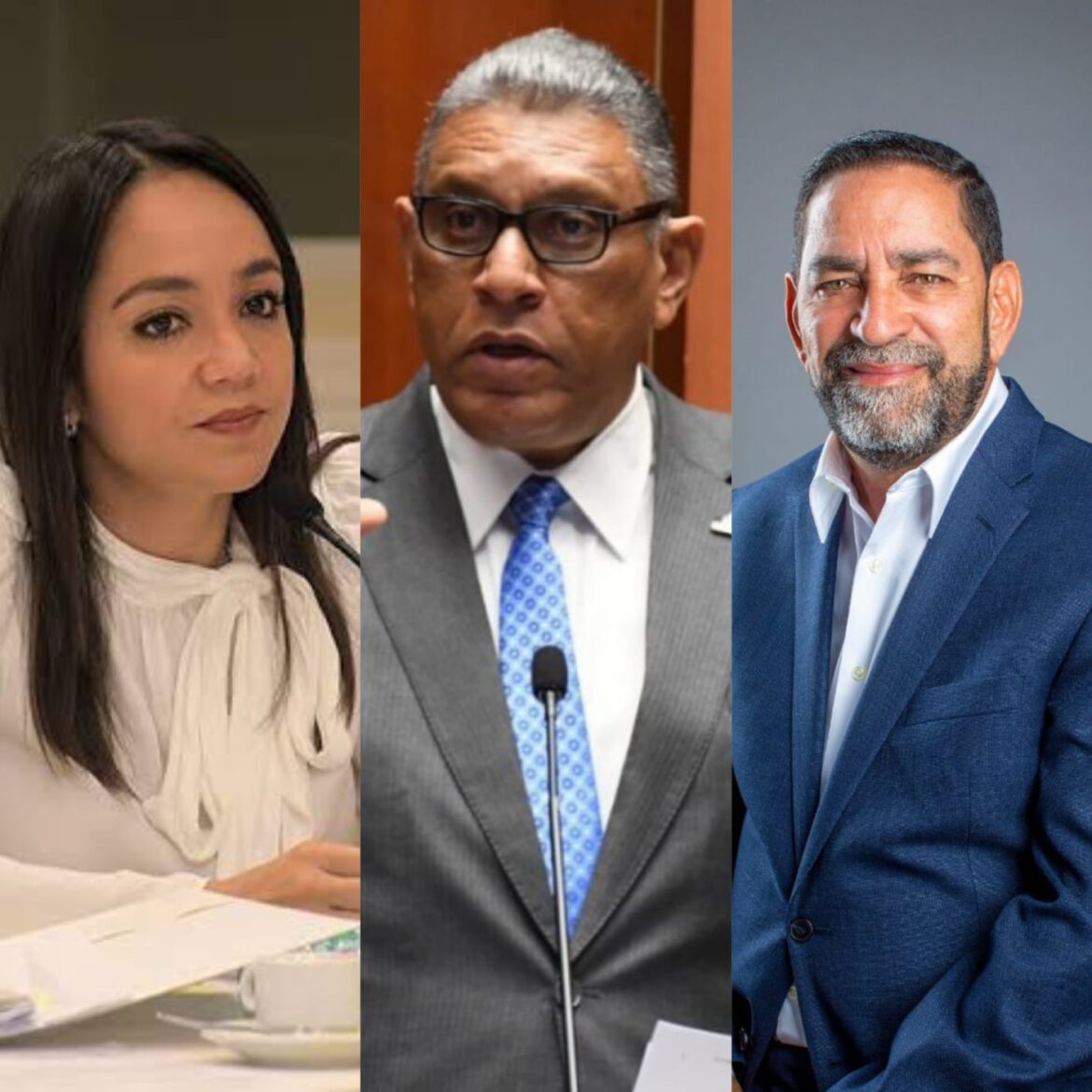 Abinader realiza nuevas designaciones de cara a su segundo Gobierno
