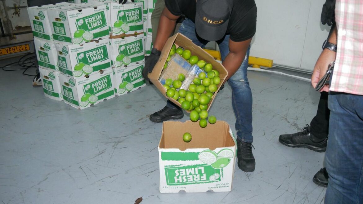 Intentan introducir 1,585 paquetes de cocaína en cajas de limones