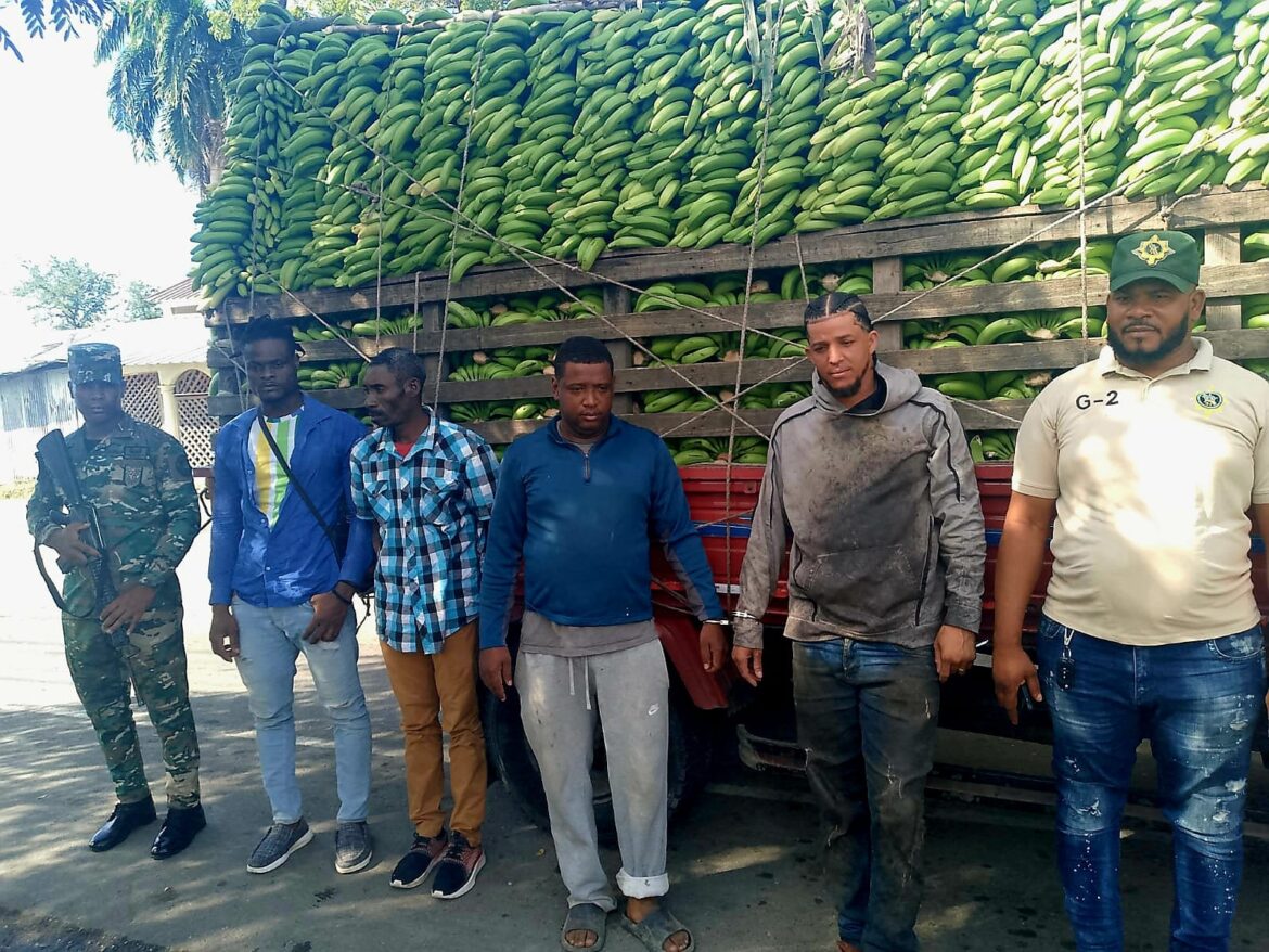 Detienen dominicanos ocultaban a dos indocumentados en un camión