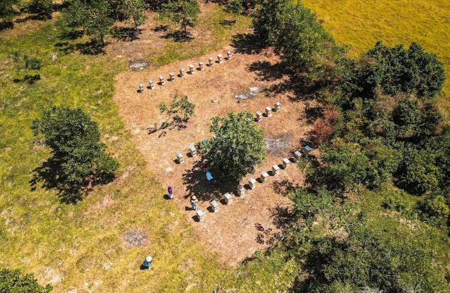Proyecto en El Limón fortalece apicultura sostenible para proteger ecosistemas