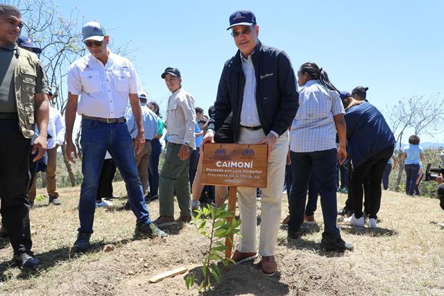 Reforestación masiva para proteger la cuenca del río Yaque del Norte
