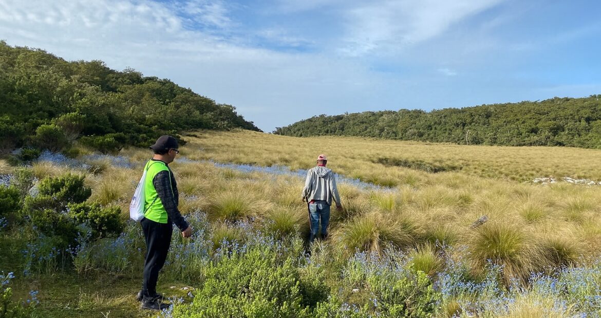 Sabana del Silencio: un templo de tranquilidad en las alturas