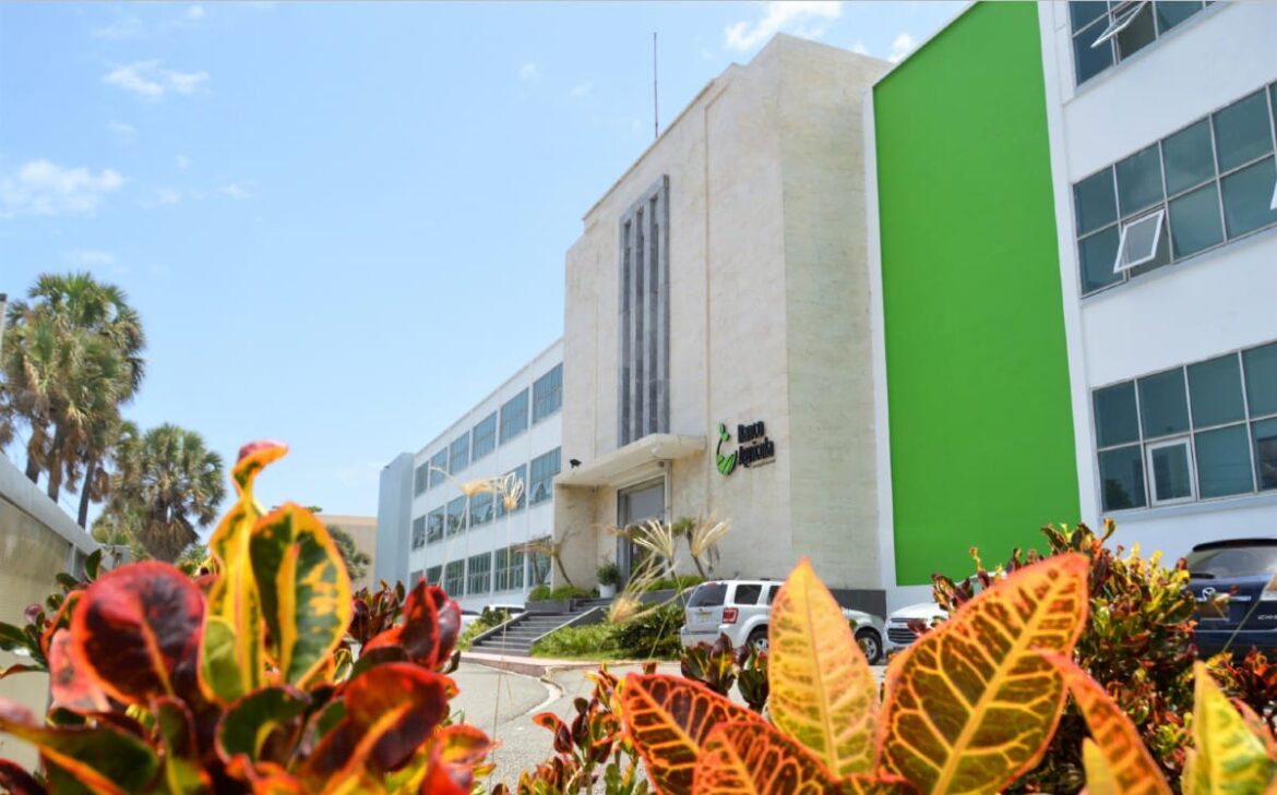 Banco Agrícola ofrece préstamos al 6% para tecnificar el campo