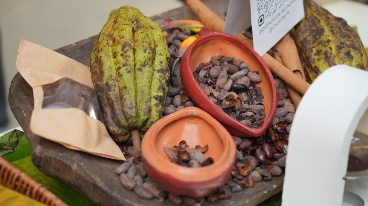Festival del Chocolate Dominicano con exhibición de productos de cacao