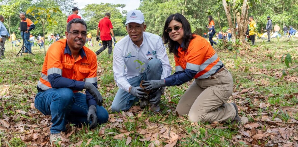Reforestación moviliza a 350 personas en Hatillo