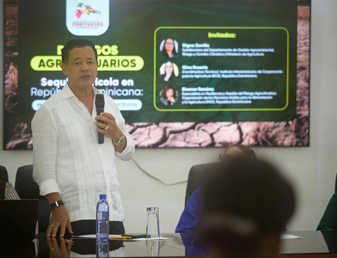 Productores de arroz en campos dominicanos